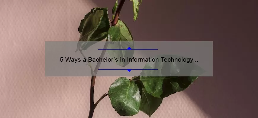 5 Ways a Bachelor’s in Information Technology Can Boost Your Career [Real-Life Success Story + Expert Tips]