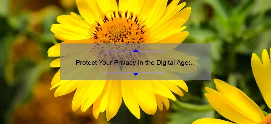 Protect Your Privacy in the Digital Age: A Personal Story and 5 Statistics to Help You Stay Safe [Guide for Technology Users]