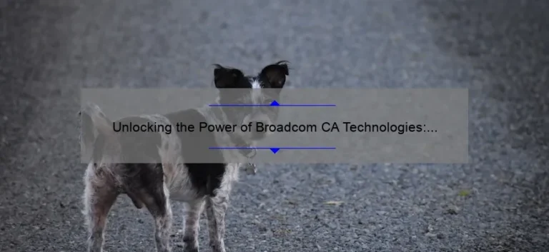 Unlocking the Power of Broadcom CA Technologies: A Compelling Story, Practical Tips, and Eye-Opening Stats [Expert Guide]