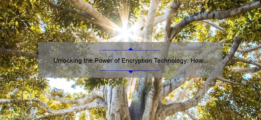 Unlocking the Power of Encryption Technology: How It Solves Your Security Problems [With Real-Life Examples and Stats]